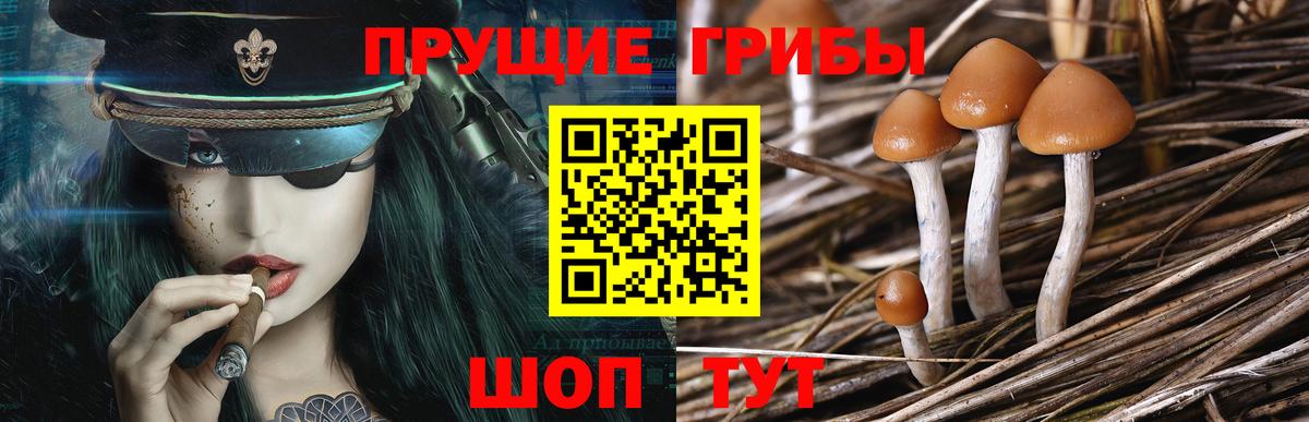 Галлюциногенные грибы мицелий Калининград
